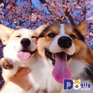 Meet your Posher, Thiên thiên